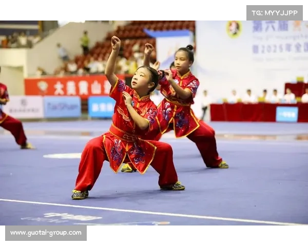 谈谈现今武术的比赛项目主要分类及其特点
